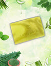Handmade Moringa Aloe Soap with fresh aloe vera and moringa leaves, showcasing natural ingredients for clear and hydrated skin