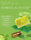 Natural ingredients in Moringa Aloe Soap, including moringa-infused olive oil, aloe vera, shea butter, coconut oil, and essential oils