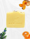 The RawLogic Pumpkin Puree Vitamin Boost Soap – Handmade Anti-Aging Soap Bar