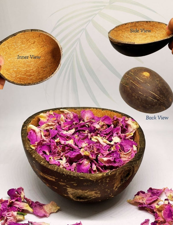 Explore the different views of Rawlogic Coconut Bowl, including its front view, side view, inner view and back view