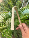 Eco-Friendly Packaging – Rawlogic Bamboo Oral Care