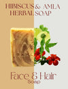 Hero Ingredients – Hibiscus and Amla Powders for Hair Strength & Scalp Detox