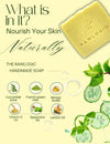 Top Natural Ingredients in Cucumber Crush Soap