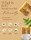 Top Ingredients – Hibiscus, Amla, Rosemary & Tea Tree Essential Oils
