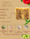 What’s Special – Dual Use Herbal Bar for Face and Hair